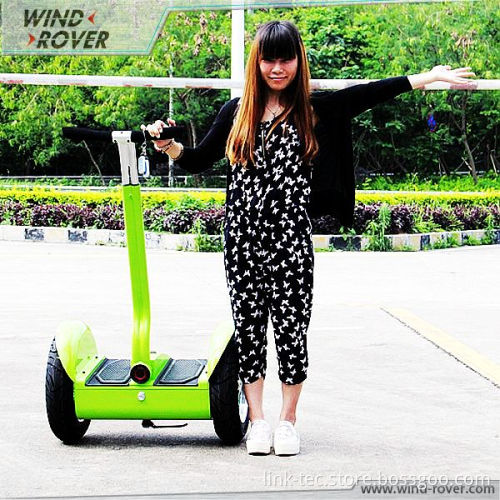 Self Balance Car Wind Rover V4 City Balance Scooter 800W Good for City Driving Personal Transporter